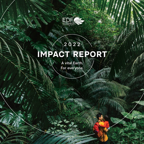 EDF 2022 Impact Report cover image