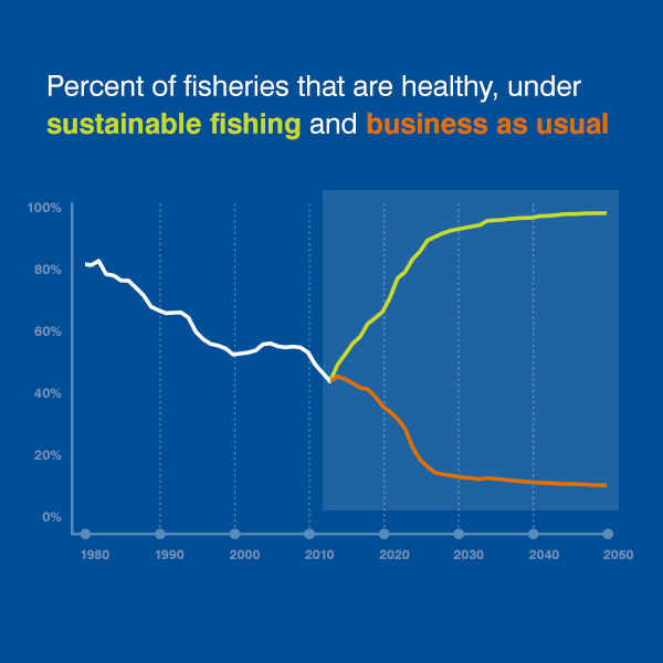 Fisheries chart