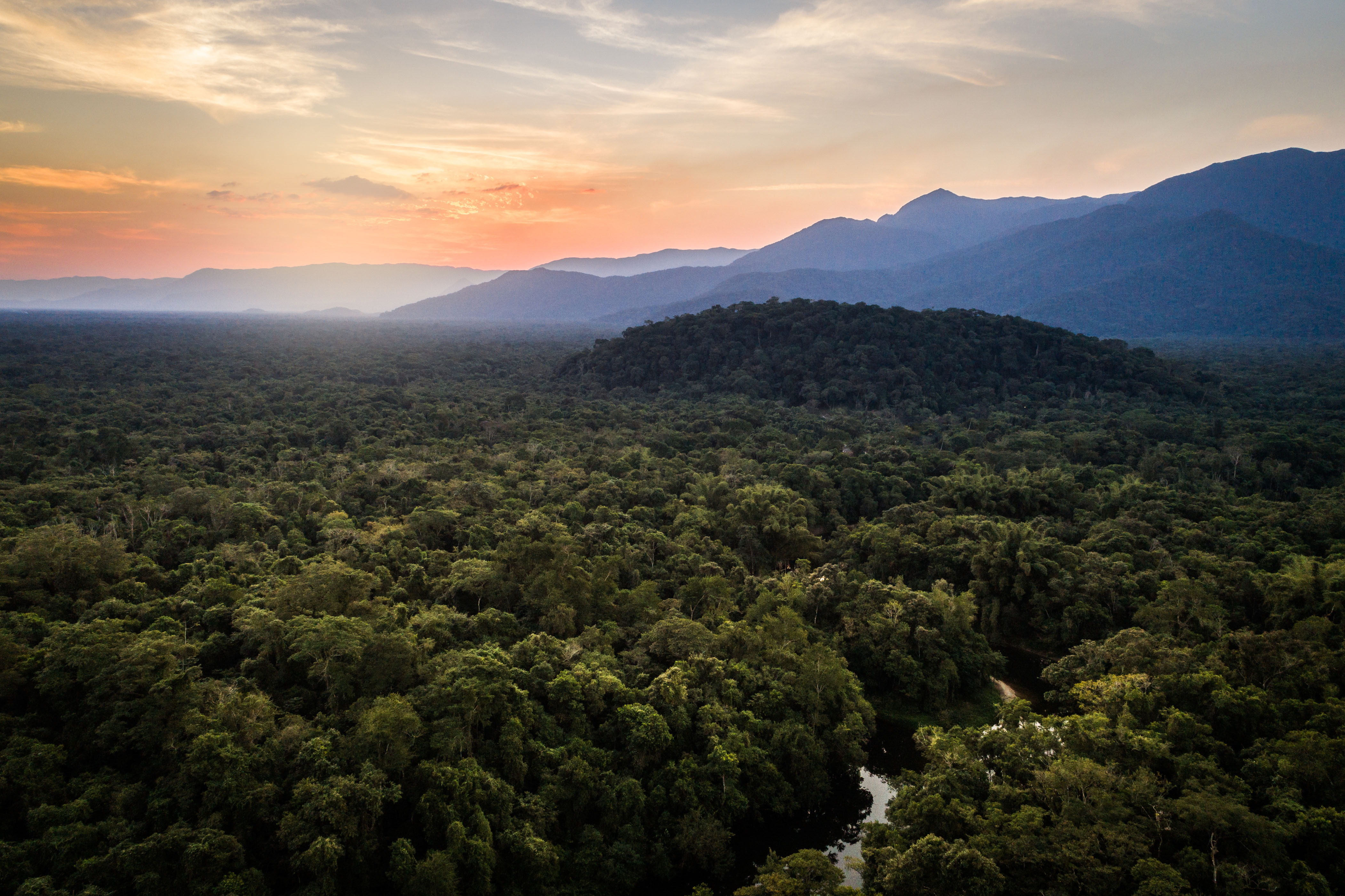 Overhead view of forest in Brazil.